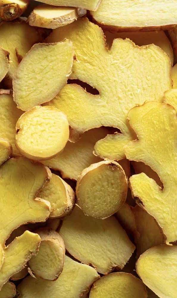 GINGEMBRE, ZESTE DE CITRON, CITRONNELLE & CYNORRHODON