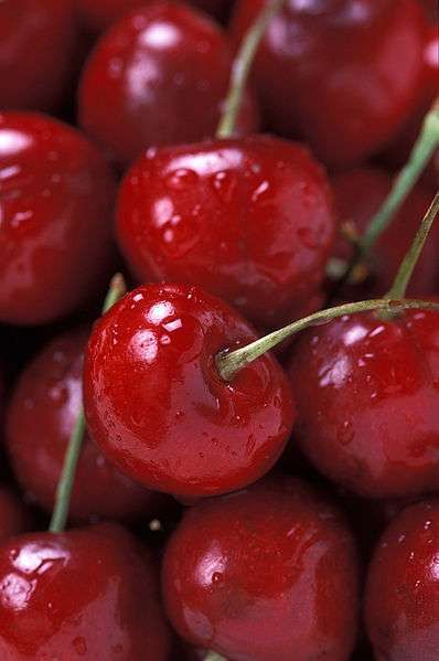 CERISE